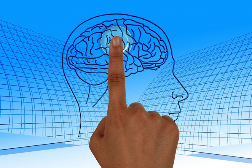 Ученые выявили область мозга, контролирующую помощь другим