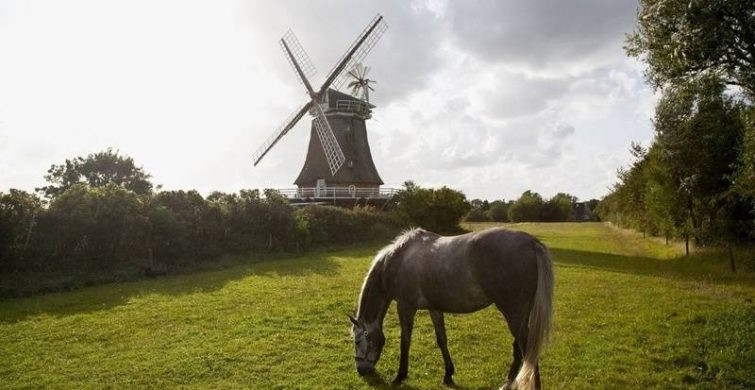 Что можно и нельзя делать в народно-христианский праздник 13 июня 2024 года по приметам