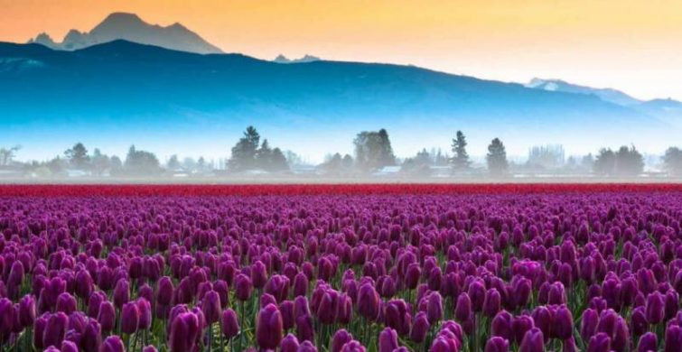 День Фита отмечают в народе 28 июня 2024 года