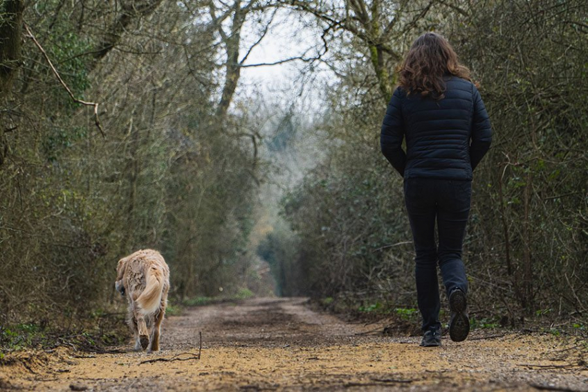 Анализ походки помогает в ранней диагностике нейродегенеративных заболеваний