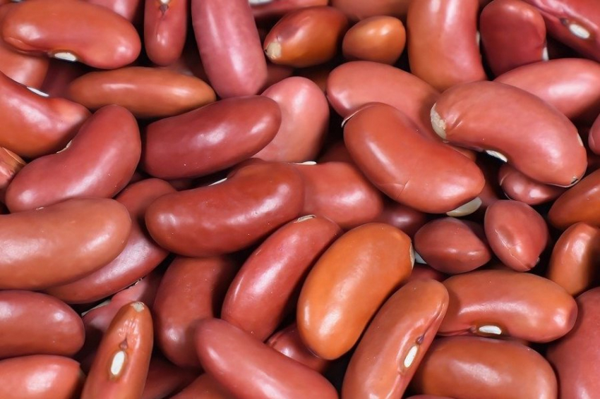 Ученые обнаружили важную роль фасоли в улучшении качества рациона