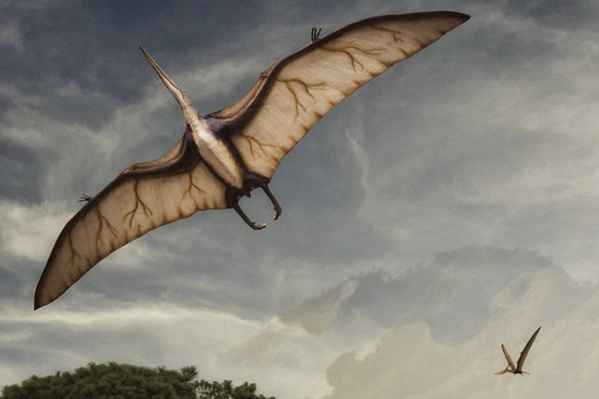 Кости возрастом 100 миллионов лет открывают новый вид птерозавров