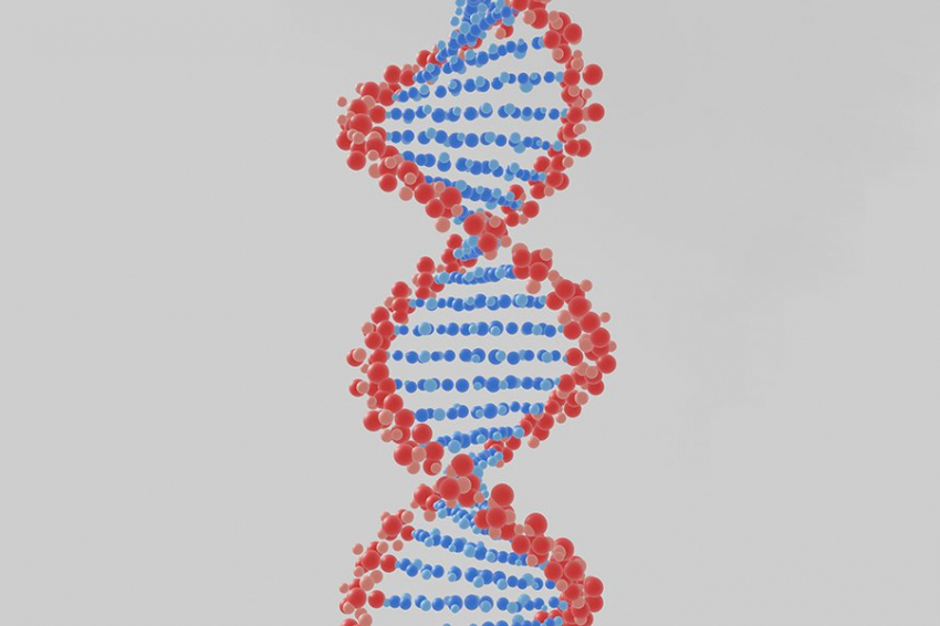 Изменения генов тихоходок проливают свет на их удивительную устойчивость
