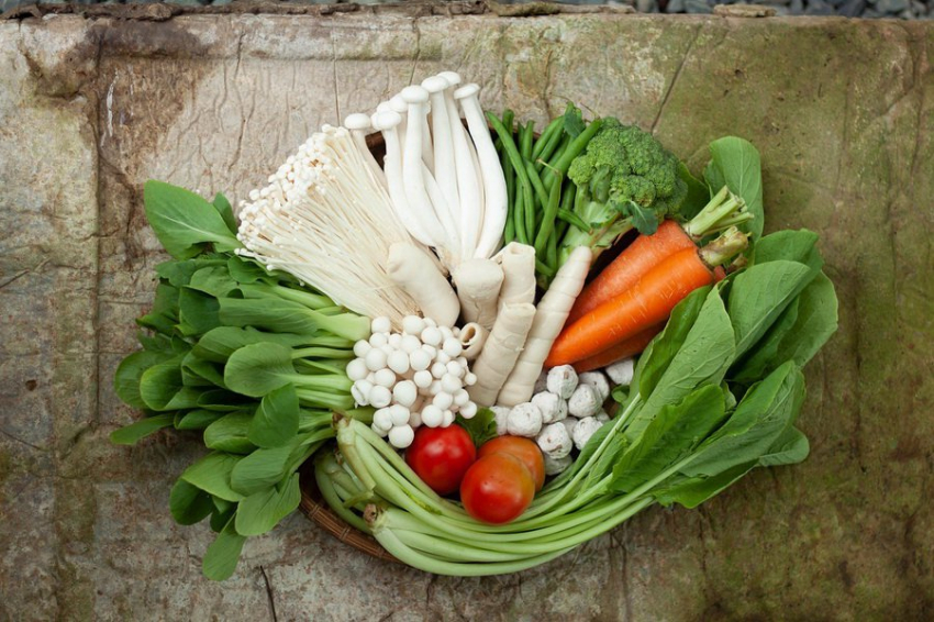 Учёные выяснили, какое влияние оказывает кетогенная диета на здоровье и память