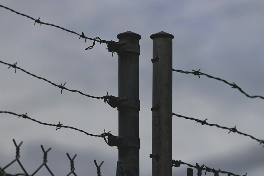 Польша и Прибалтика хотят создать 700-километровую линию обороны на границе с Россией и Белоруссией