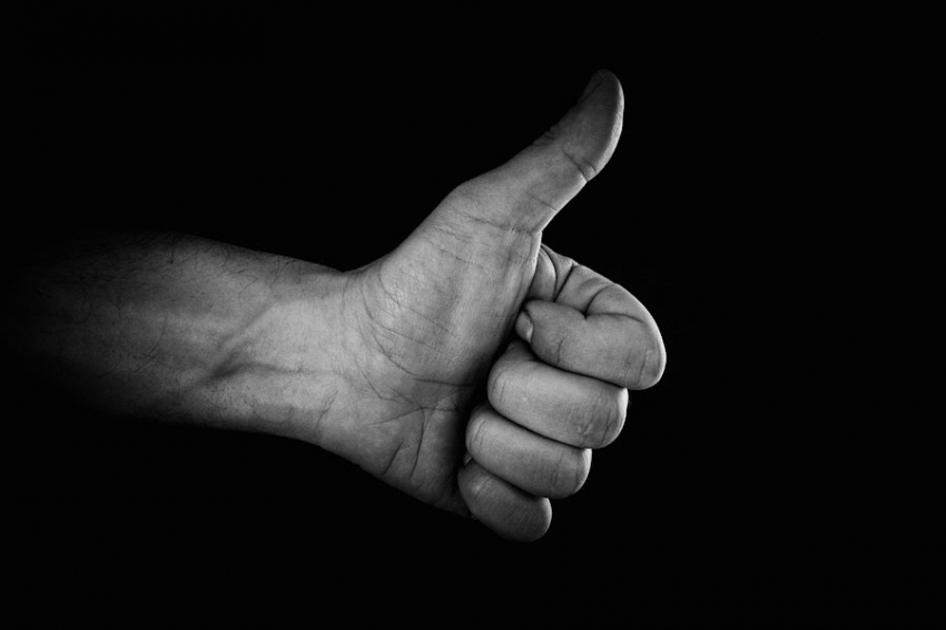 Science Advances: учёные подтверждают, что лучшее это враг хорошего