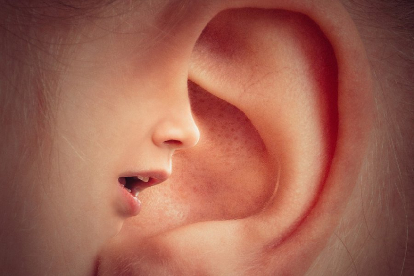 JM&M: специалисты MIT создали вживляемый кохлеарный слуховой аппарат