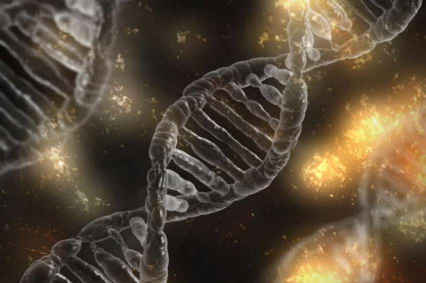 Раскрыты секреты европейского генома в захоронении возрастом 4500 лет