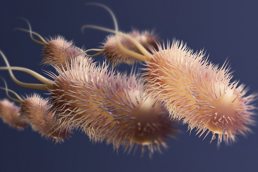 Вирусы гриппа могут использовать второй путь проникновения для заражения клеток