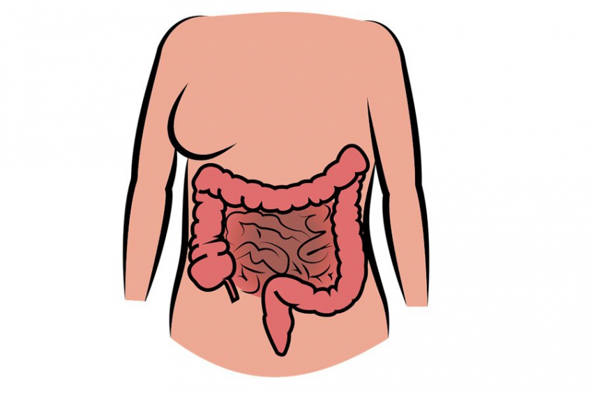 ​Cell: трансплантация кала усиливает иммунотерапию при лечении рака