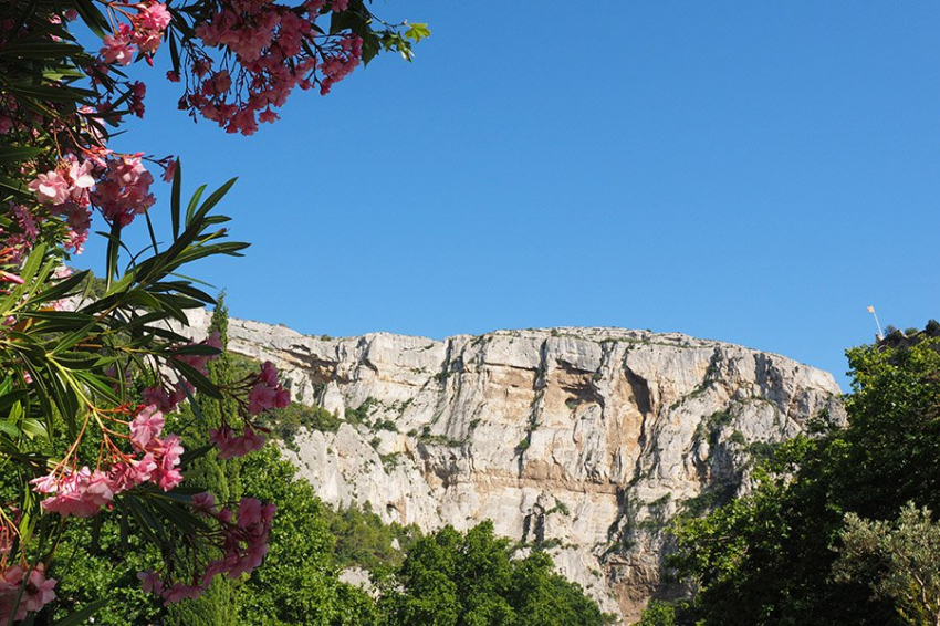 Огромные карстовые воронки в Китае скрывают леса с уникальными растениями