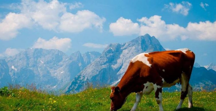 Важные и запрещенные дела в праздники 22 августа 2024 года по народным приметам