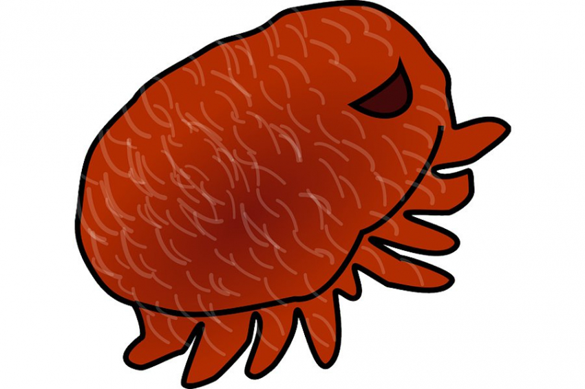 Внутриклеточный паразит доставит терапевтические белки в нейроны