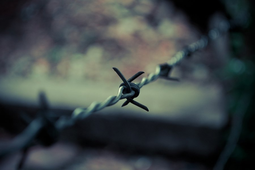 Россия показывает Финляндии новую политику исторической памяти