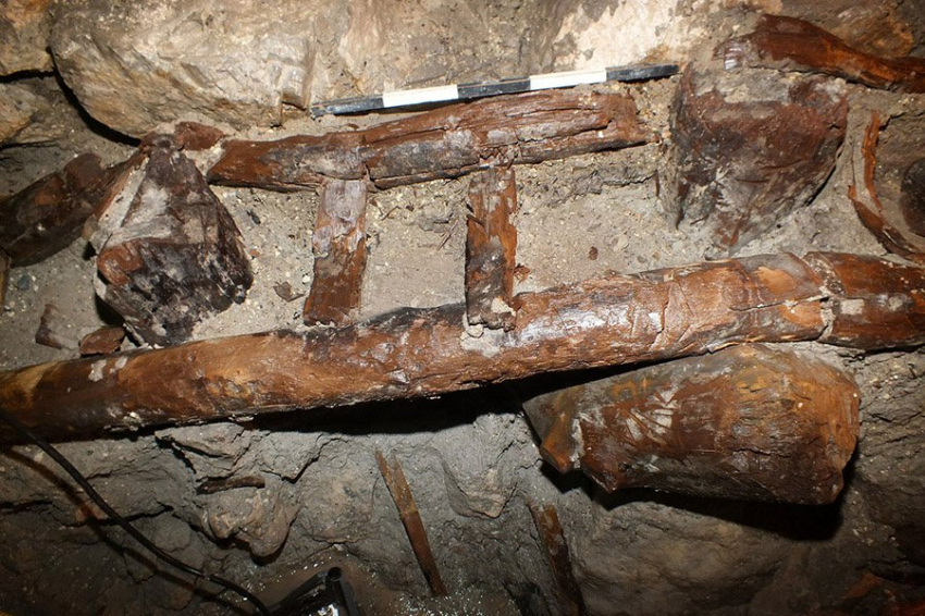 В хеттском городе найдена деревянная лестница возрастом 3000 лет