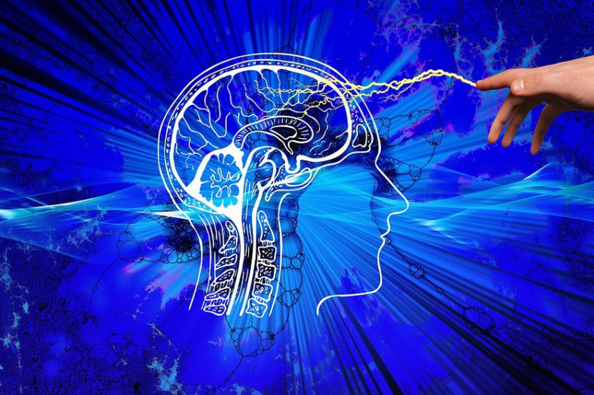 KERI: электрическая стимуляция мозга способствует снижению аппетита