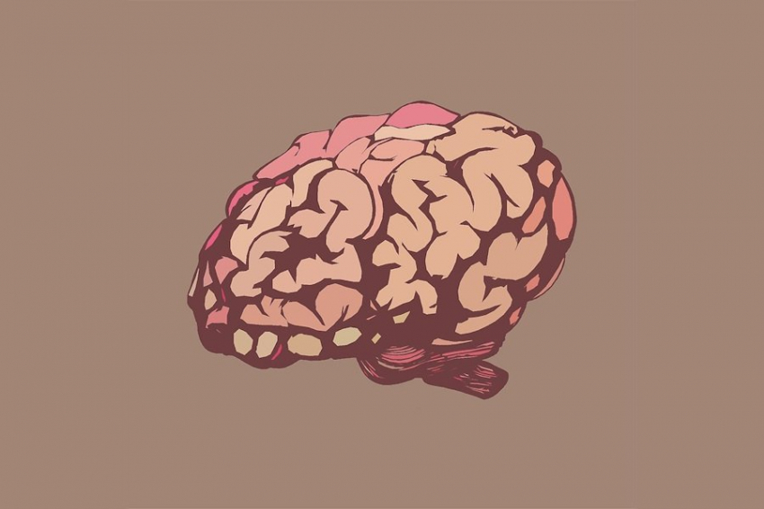 Паразит на страже мозга: разработан способ лечения неврологических заболеваний