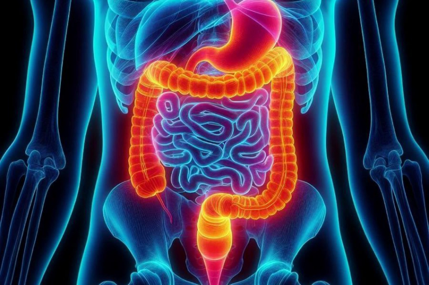 Выявлен механизм, позволяющий сальмонеллам находить уязвимые точки в кишечнике