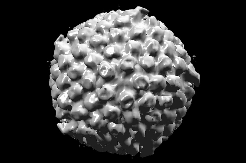 Science: найден способ блокировать герпесовирус, вызывающий рак