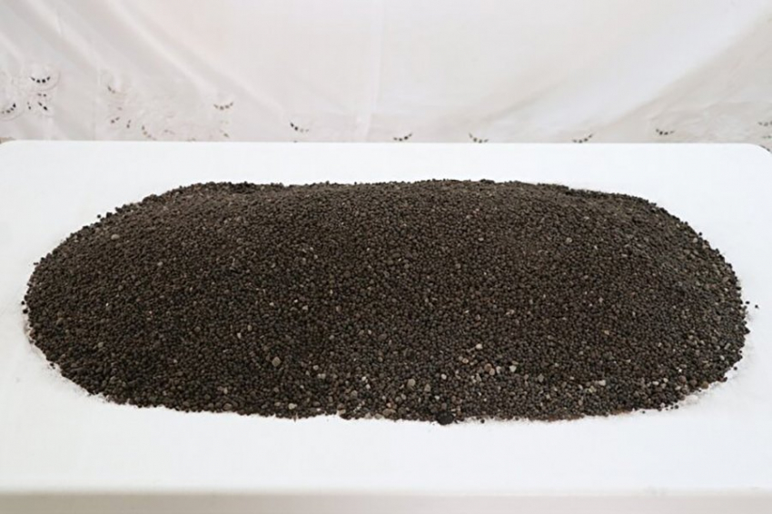 В кургане в Турции найдены килограммы нута возрастом 2800 лет