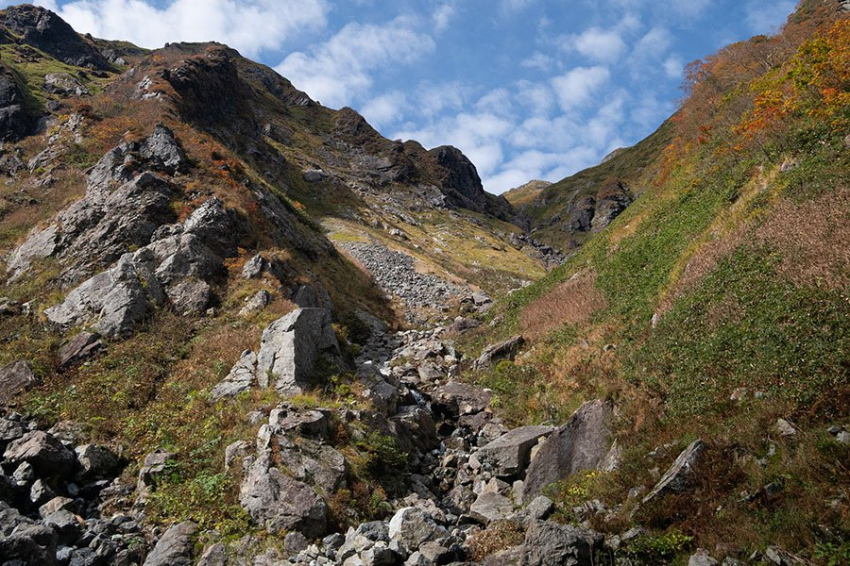 Микробы кишечника могут помочь жителям низин покорить большие высоты