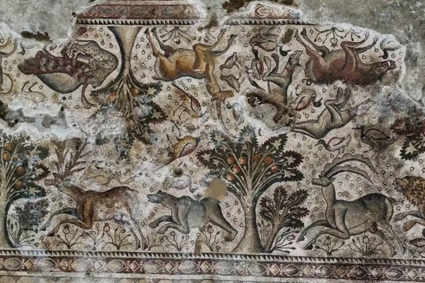 В Турции найдена роскошная напольная мозаика римского периода