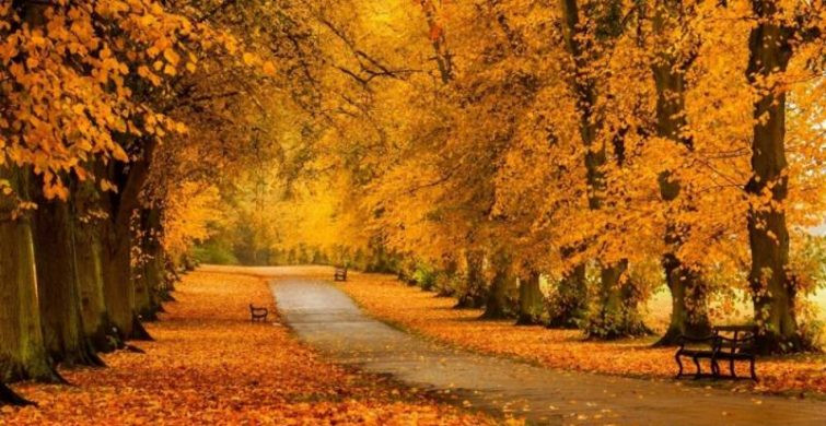 Какой церковный праздник, сегодня, 10 октября 2024 года отмечают верующие России?