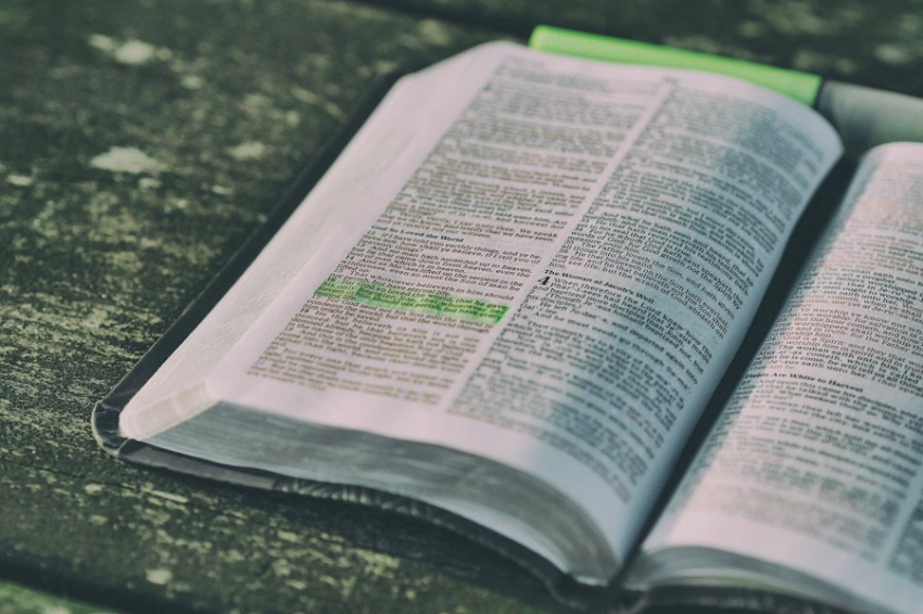 Ученые оживили древнее растение, о котором написано в Библии