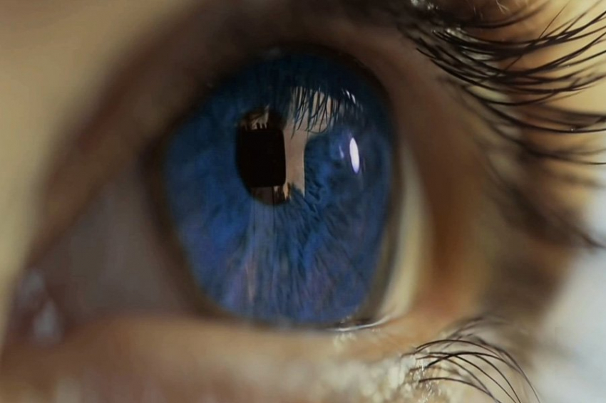 Трансплантация стволовых клеток дает надежду на лечение возрастной потери зрения