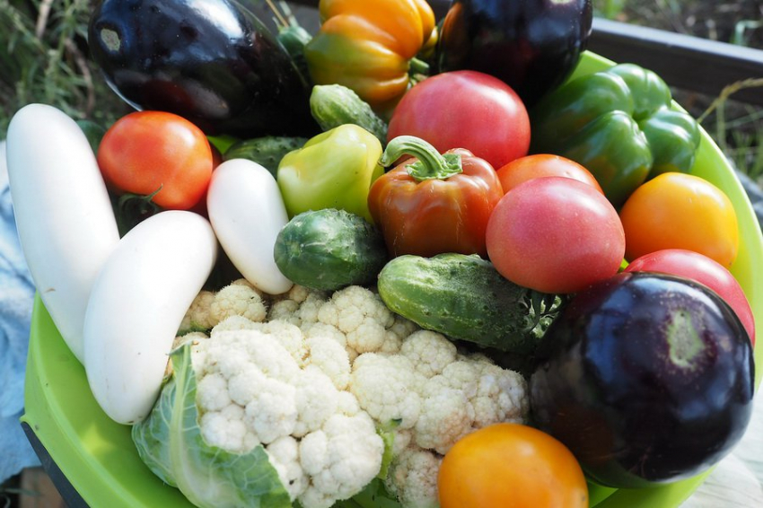 Названа диета, не приносящая пользу пожилым людям