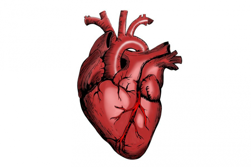 Arteriosclerosis: COVID-19 удваивает риск сердечных приступов и инсультов