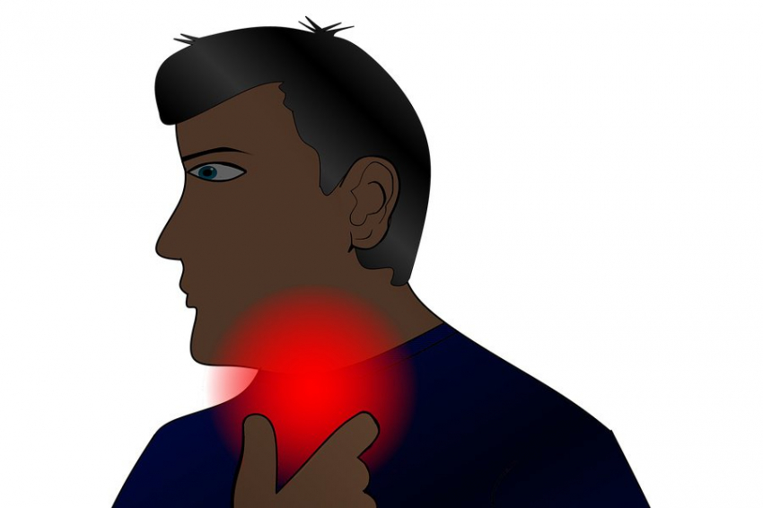 Раскрыт механизм распространения хламидий через молекулярную мимикрию