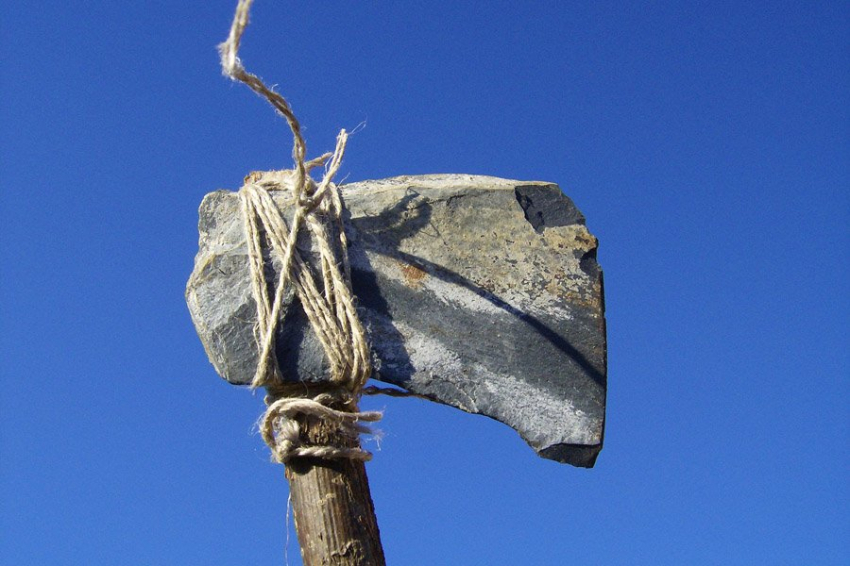 Анатомия рук древних гоминидов позволяла использовать орудия труда