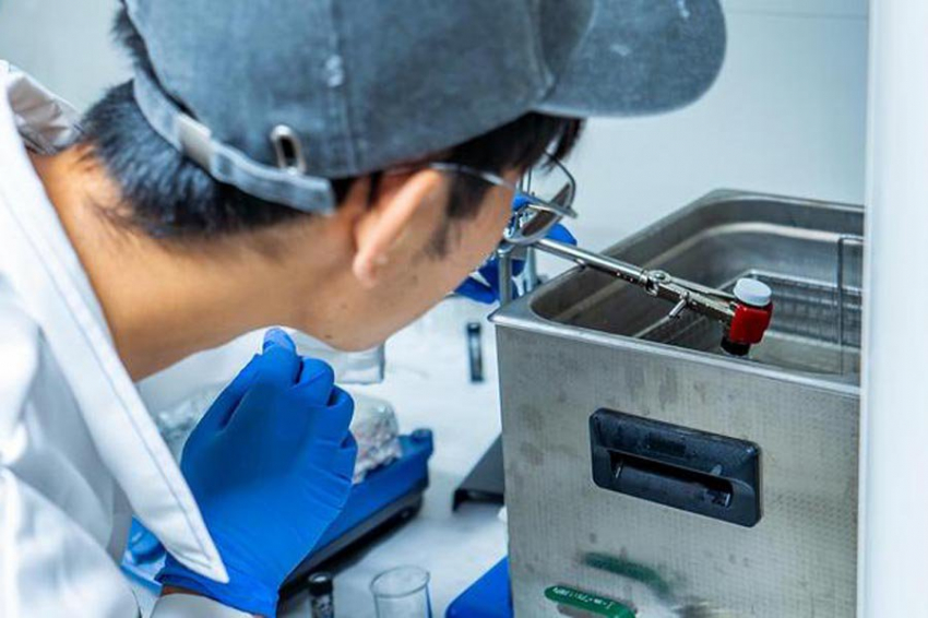 Искусственный «нос» может учуять поврежденные фрукты и испорченное мясо