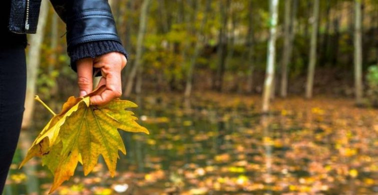 Что можно и нельзя делать в народный праздник 11 ноября 2024 года по приметам