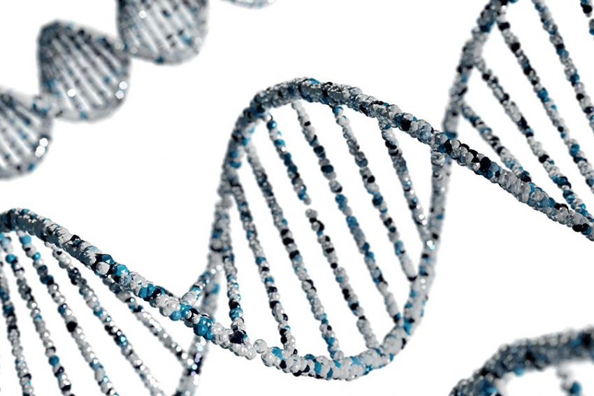 Использование «генетических ножниц» несет риски