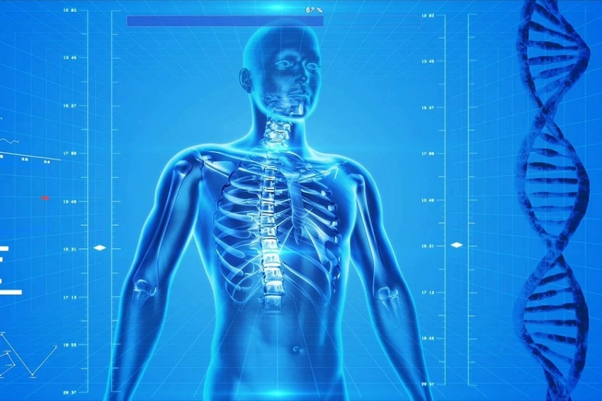 Исследование «Темного протеома» выявило тысячи новых генов человека