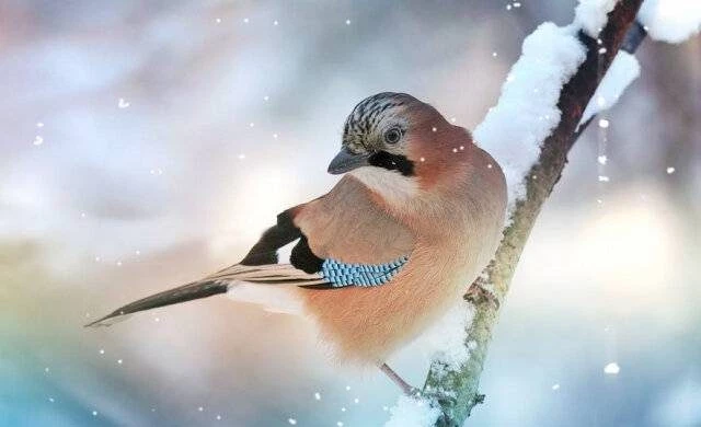 Что можно и нельзя делать в праздники 11 декабря 2024 года по народным приметам