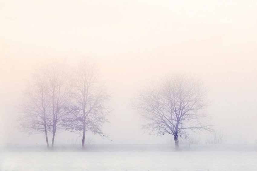 Снежный след цивилизации: в снежном покрове Омска обнаружен микропластик