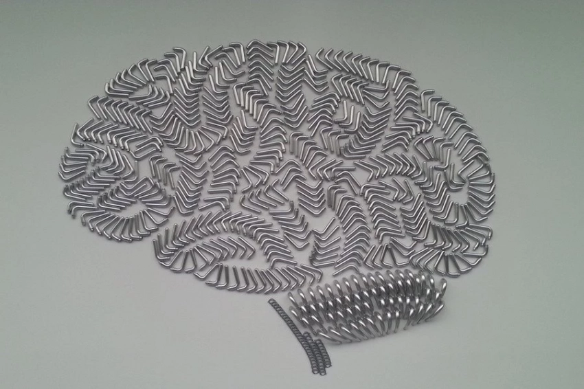 Биологи раскрыли механизм развития неизлечимой формы умственной отсталости