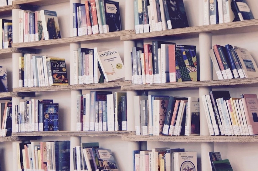 Чтение укрепляет мозг: книга, которая формирует ваши способности