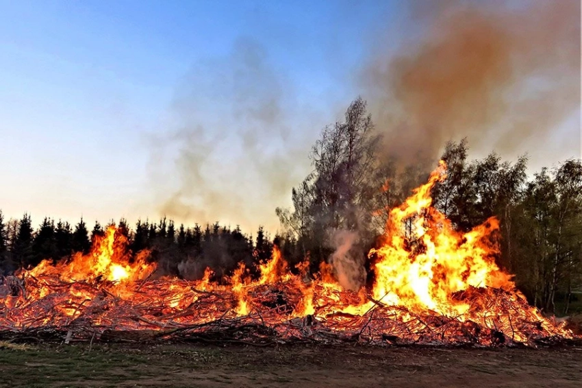 Активность лесных пожаров резко возросла во время ледникового периода